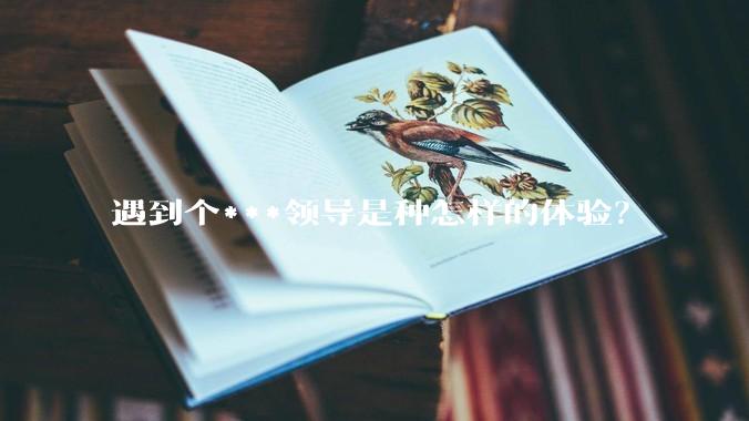 遇到个***领导是种怎样的体验？