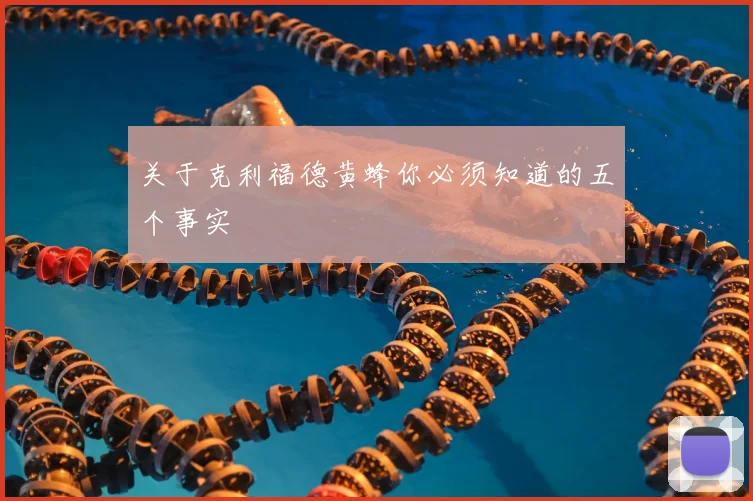 关于克利福德黄蜂你必须知道的五个事实