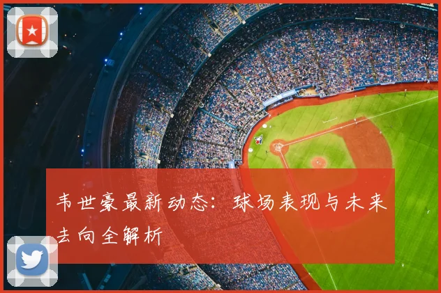 韦世豪最新动态：球场表现与未来去向全解析